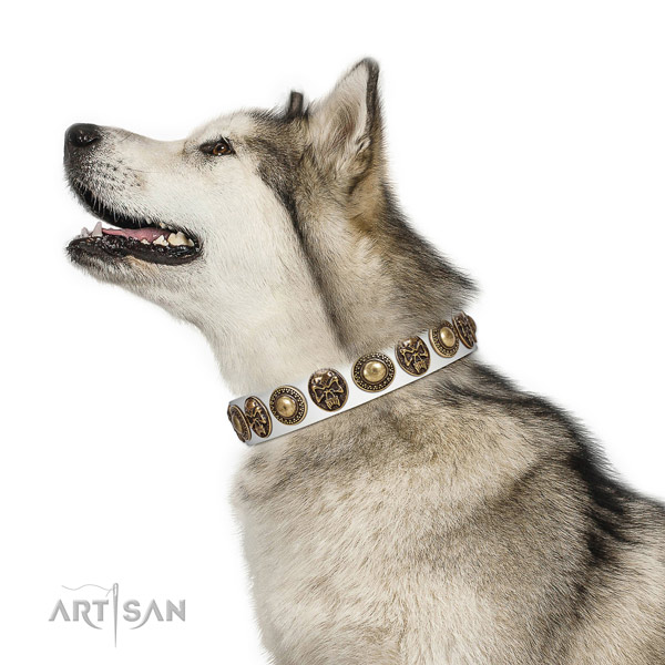 Top quality full grain genuine leather collar for your attractive pet