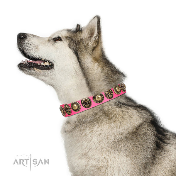 Perfect fit leather collar for your beautiful pet