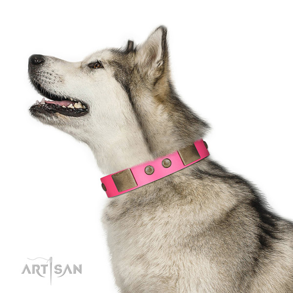 Corrosion proof D-ring on full grain natural leather dog collar for comfortable wearing