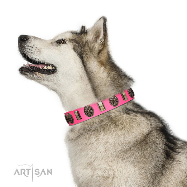 Corrosion proof buckle on natural genuine leather dog collar for easy wearing