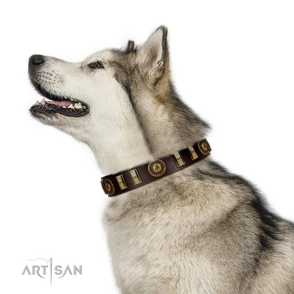 Strong full grain genuine leather dog collar with rust resistant D-ring