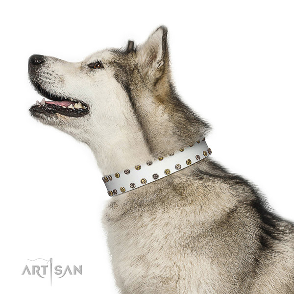 Stylish design leather dog collar with corrosion proof embellishments