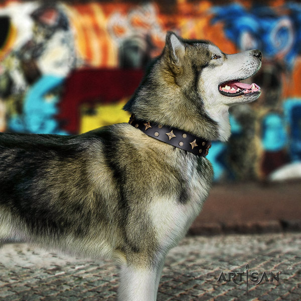 Malamute fashionable embellished genuine leather dog collar for stylish walking