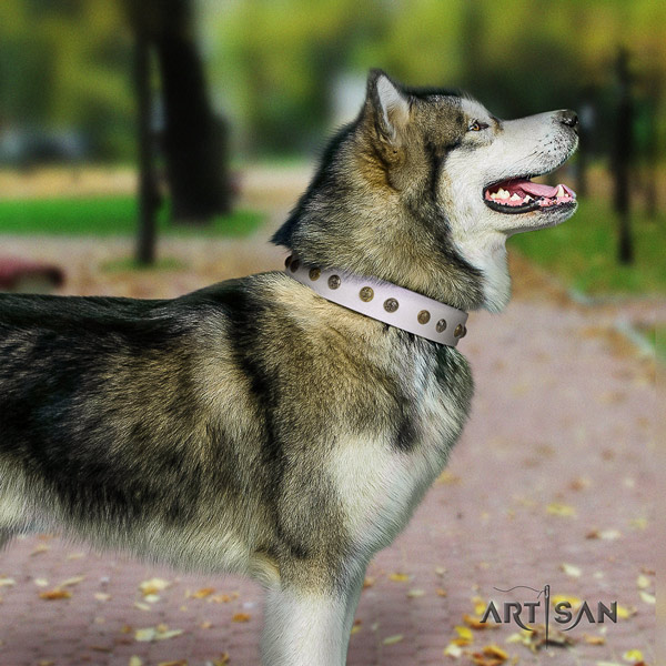 Malamute remarkable adorned full grain leather dog collar for easy wearing
