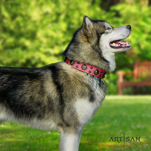 Malamute fashionable decorated genuine leather dog collar for daily use