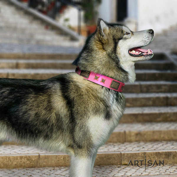 Malamute stunning decorated full grain leather dog collar for everyday walking