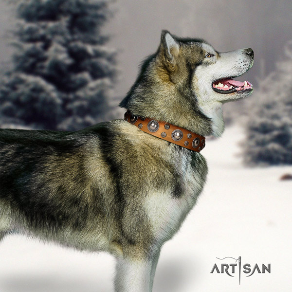 Malamute unusual decorated full grain natural leather dog collar for comfortable wearing