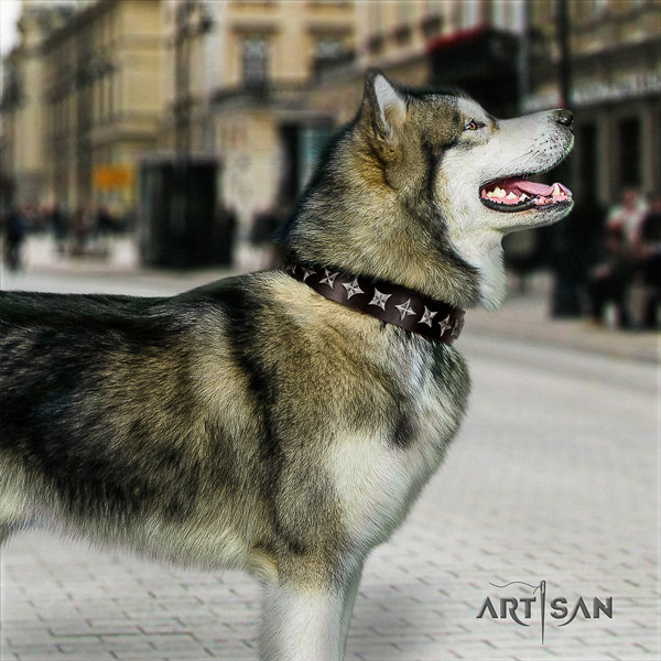 Malamute exceptional decorated full grain leather dog collar for handy use