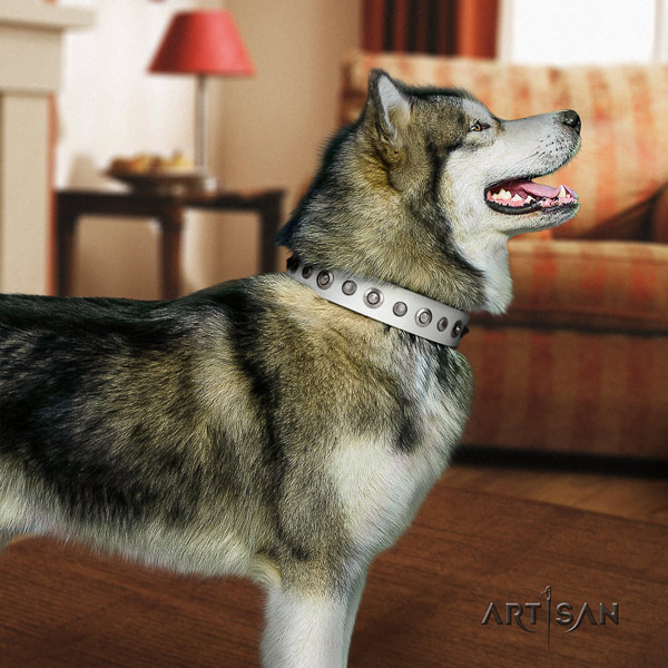 Malamute stylish decorated natural leather dog collar for easy wearing