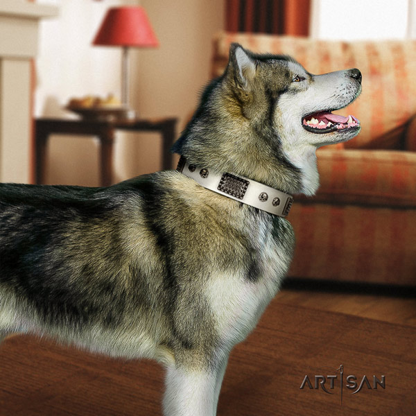 Malamute fashionable decorated full grain leather dog collar for fancy walking