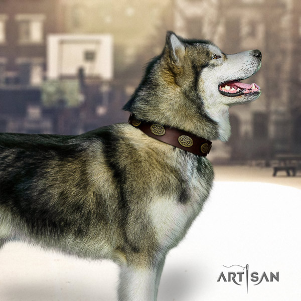 Malamute fashionable decorated leather dog collar for everyday walking