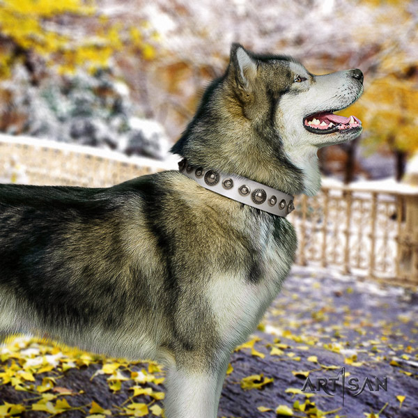 Malamute top notch decorated full grain leather dog collar for comfy wearing