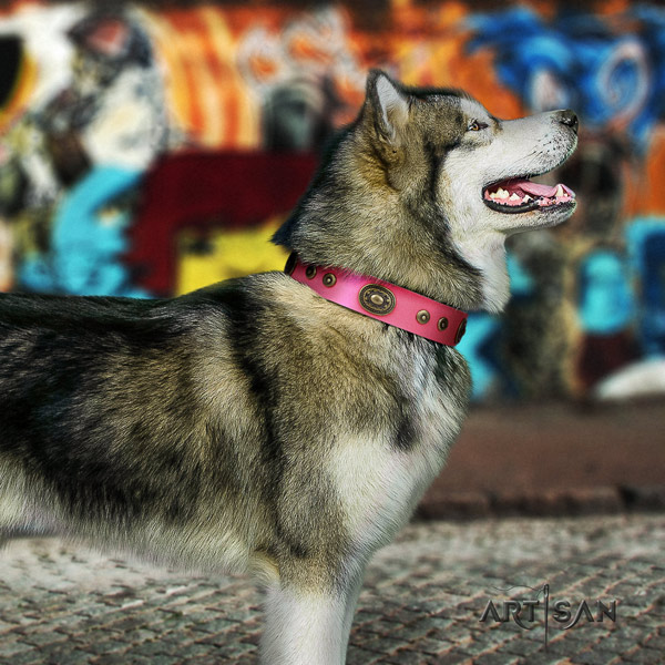 Malamute awesome decorated full grain natural leather dog collar for handy use