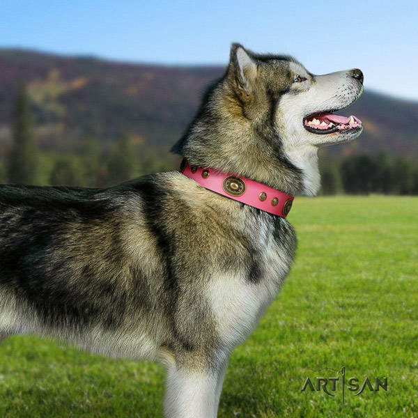 Malamute impressive adorned natural leather dog collar for everyday walking