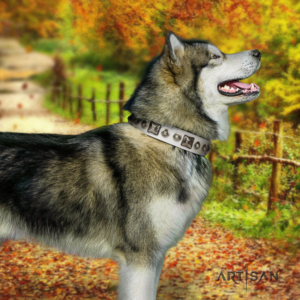 Malamute exquisite decorated leather dog collar for comfy wearing