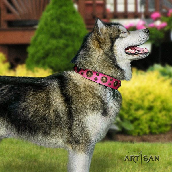 Malamute stylish decorated genuine leather dog collar for stylish walking