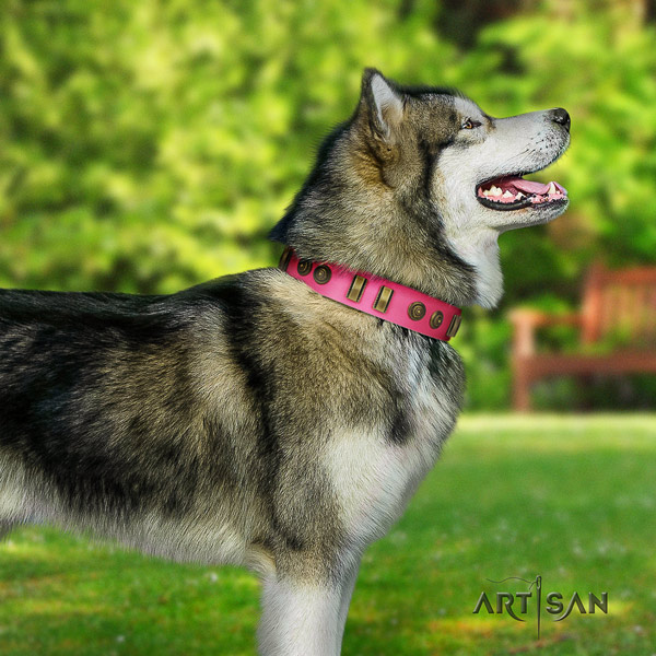 Malamute unique embellished natural leather dog collar for handy use
