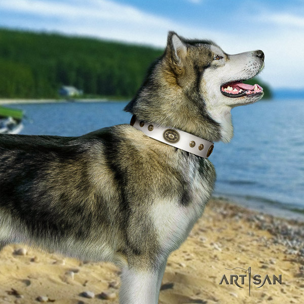 Malamute incredible adorned leather dog collar for easy wearing