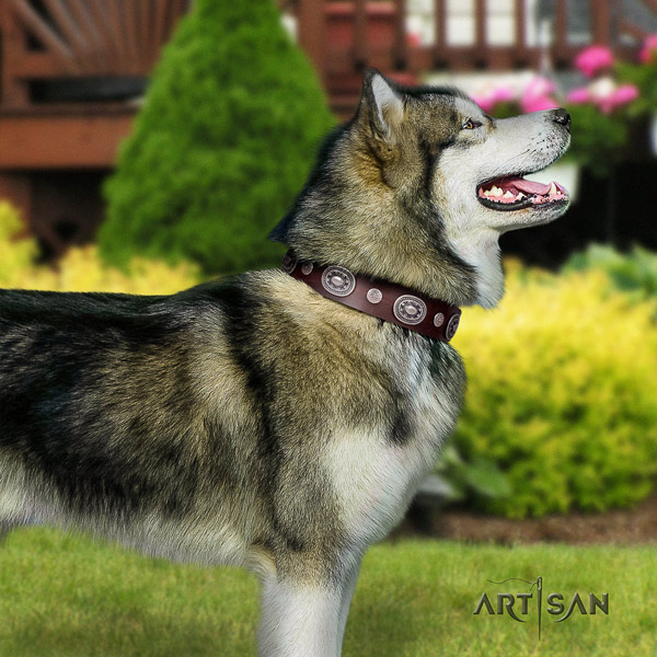 Malamute fashionable decorated genuine leather dog collar for fancy walking