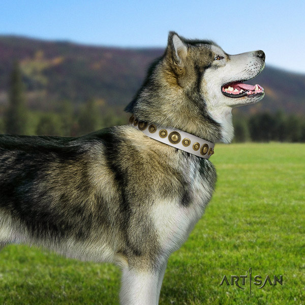 Malamute inimitable adorned leather dog collar for easy wearing
