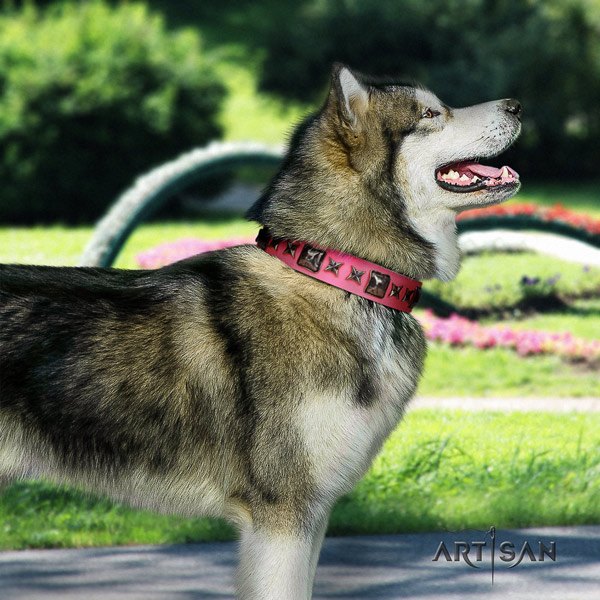 Malamute awesome adorned genuine leather dog collar for comfy wearing