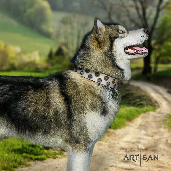 Malamute impressive embellished full grain leather dog collar for everyday walking