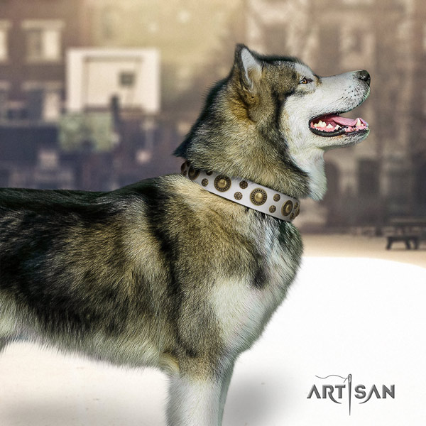 Malamute incredible embellished full grain genuine leather dog collar for comfy wearing