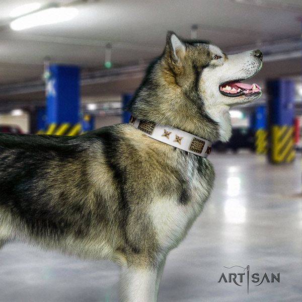 Malamute trendy studded leather dog collar for fancy walking
