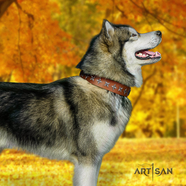 Malamute incredible decorated genuine leather dog collar for easy wearing