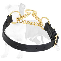 Durable martingale dog collar with leather     part and brass chain