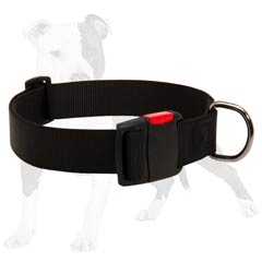 Easy Adjustable Everyday Nylon Dog Collar