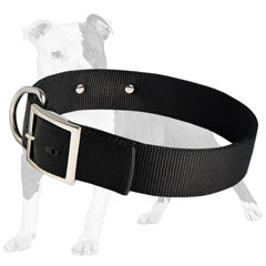 Canine Collar wth ID Tag