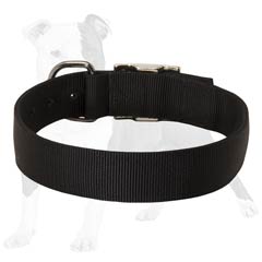 probably the best training nylon dog collar