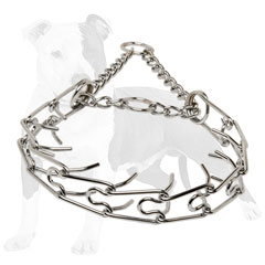 Pinch dog collar safe and dog-friendly