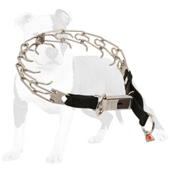 Training pinch dog collar made     of durable steel
