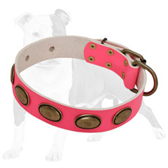 Walking Leather Collar for Female Canines