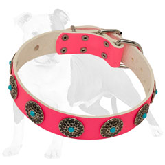 Quality Pink Leather Collar for Walking
