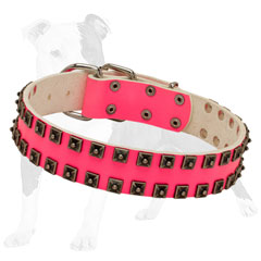 Fashion Collar fir She-Dogs