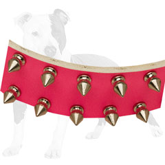 Durable leather collar with nickel buckle and D-ring