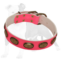 Studded Pink Leather Dog Collar