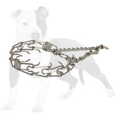 Steel chrome plated pinch dog collar