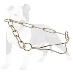 Comfortable metal collar for dog shows