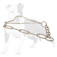 Rust-proof chrome plated show dog collar