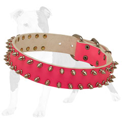 Pink leather collar adorned with silver spikes