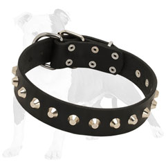 Leather dog collar with buckle and D-ring