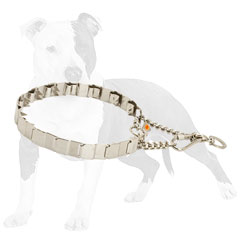 Glossy steel Neck Tech dog collar