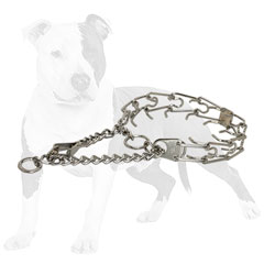 Chrome plated steel pinch dog collar