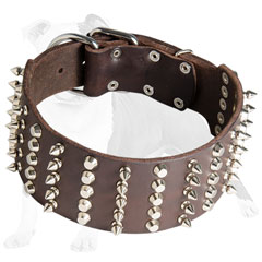 Supple leather collar adorned with silver spikes and pyramids