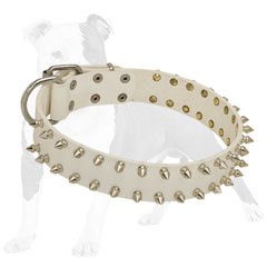 Supple leather collar adorned with silver spikes