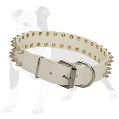 Timeless leather collar with strong buckle and D-ring